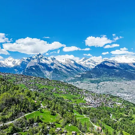 Studio Bouleaux B2 By Interhome Apartment Nendaz